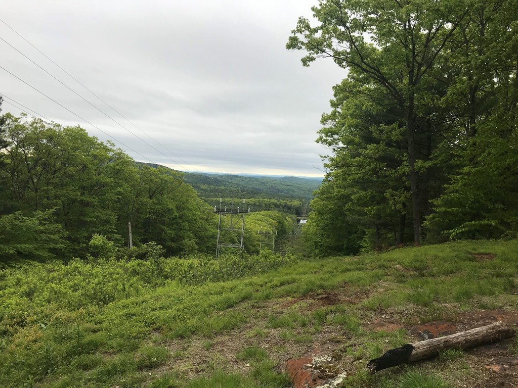 Scott New England Trail (CT, MA) 20190531 Fastest